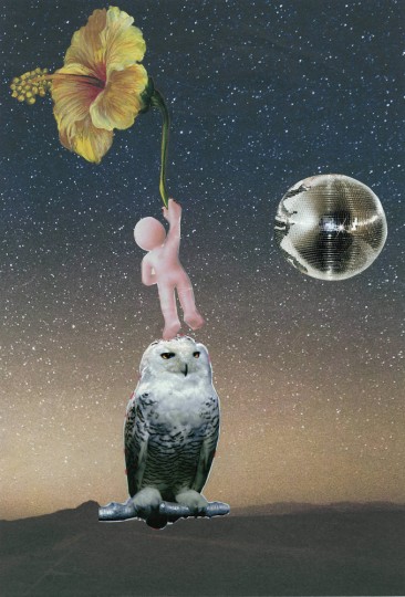 The Dreamers set the night